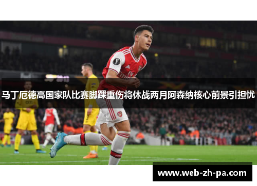 马丁厄德高国家队比赛脚踝重伤将休战两月阿森纳核心前景引担忧 马丁厄德高国家队比赛脚踝重伤将休战两月阿森纳核心前景引担忧